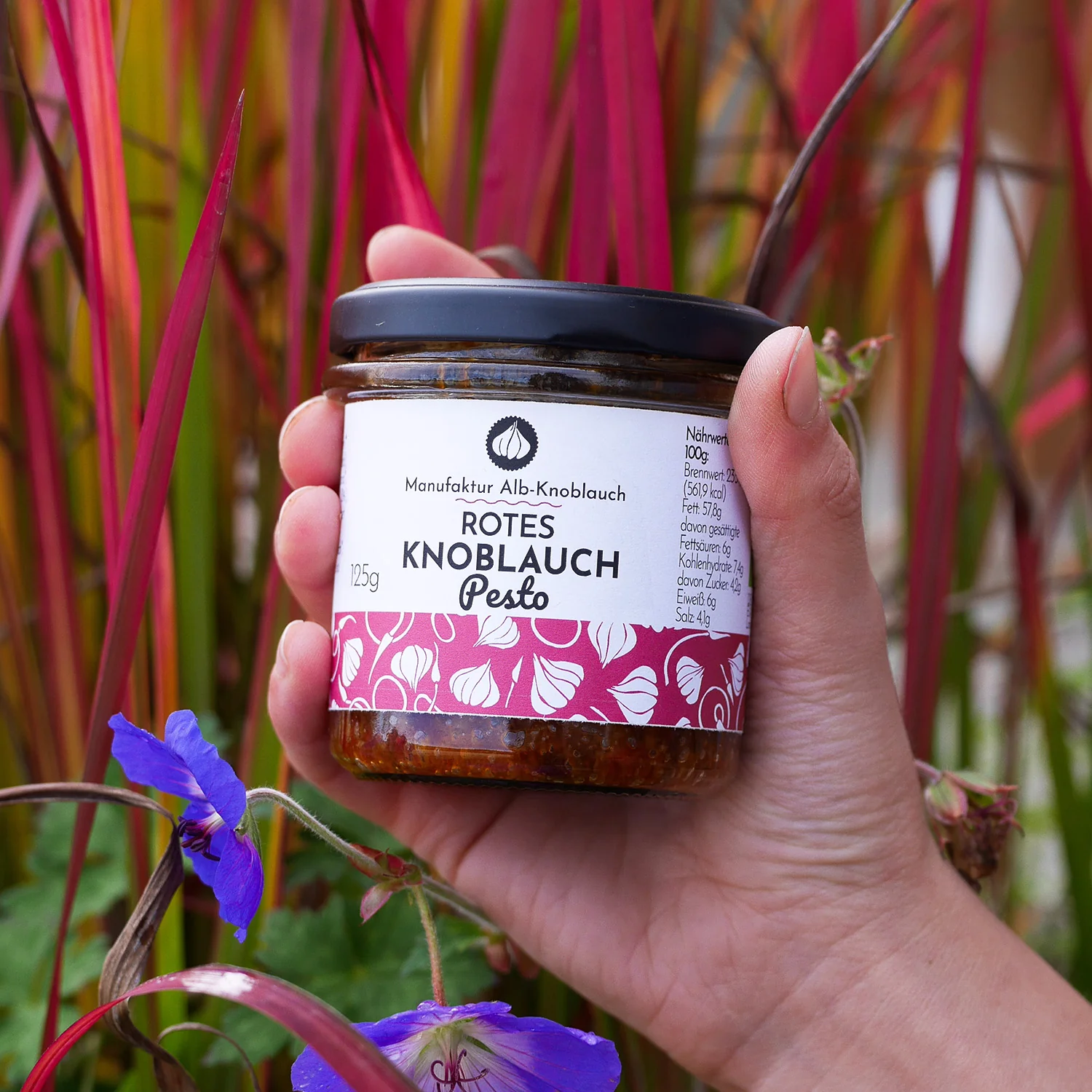 Bio Rotes Knoblauch Pesto