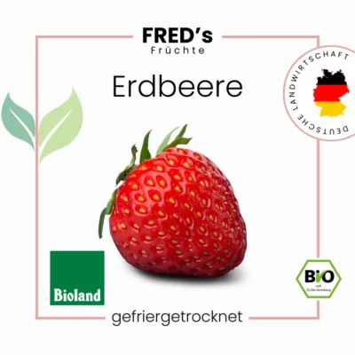 Bio FRED´s gefriergetrocknete Erdbeeren