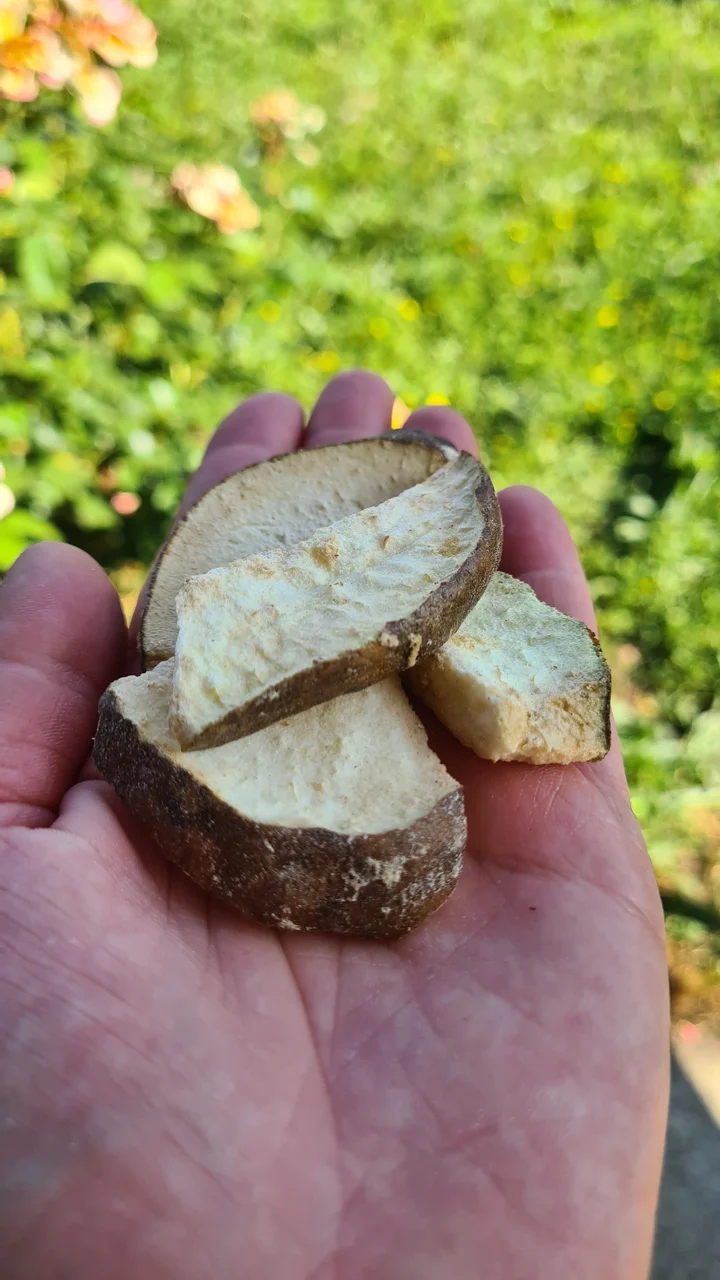 Bio FRED´s gefriergetrocknete Birnen – Bild 2